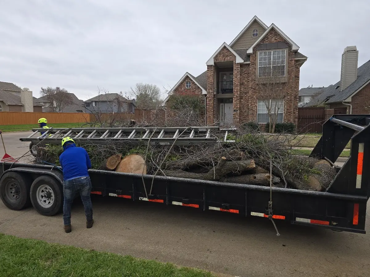 Expert Lot Clearing with proper safety equipment in Ruth